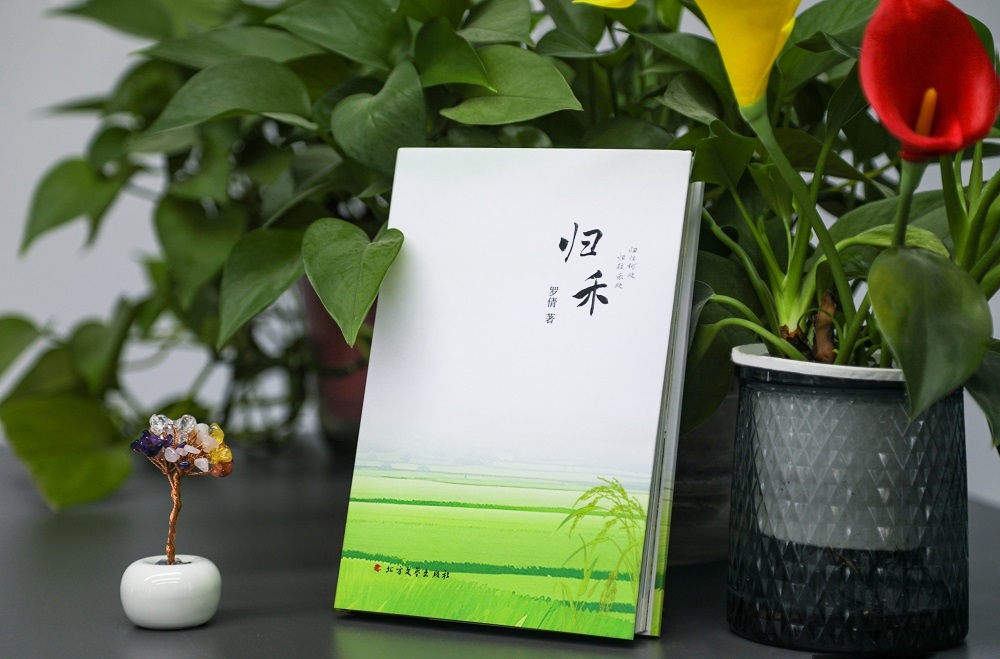 昭化區(qū)三百萬(wàn)基金激勵(lì)創(chuàng)作 新政助力文藝精品繁榮